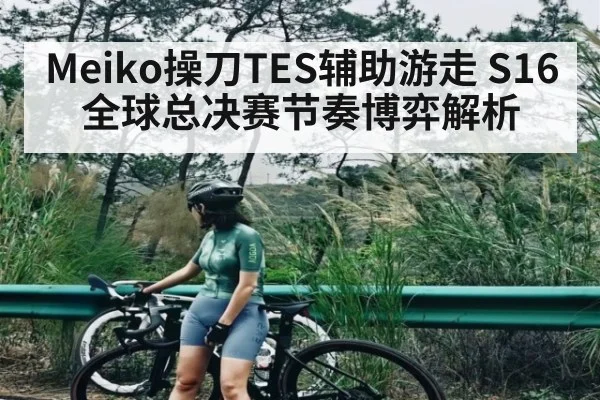 Meiko操刀TES辅助游走 S16全球总决赛节奏博弈解析